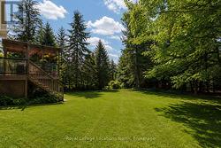 Park-like Setting in Private Rear Yard - 