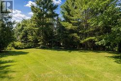 Manicured & VERY Private Rear Yard - 