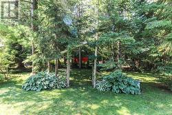 Mature Tree Cover Provides Immense Privacy - 