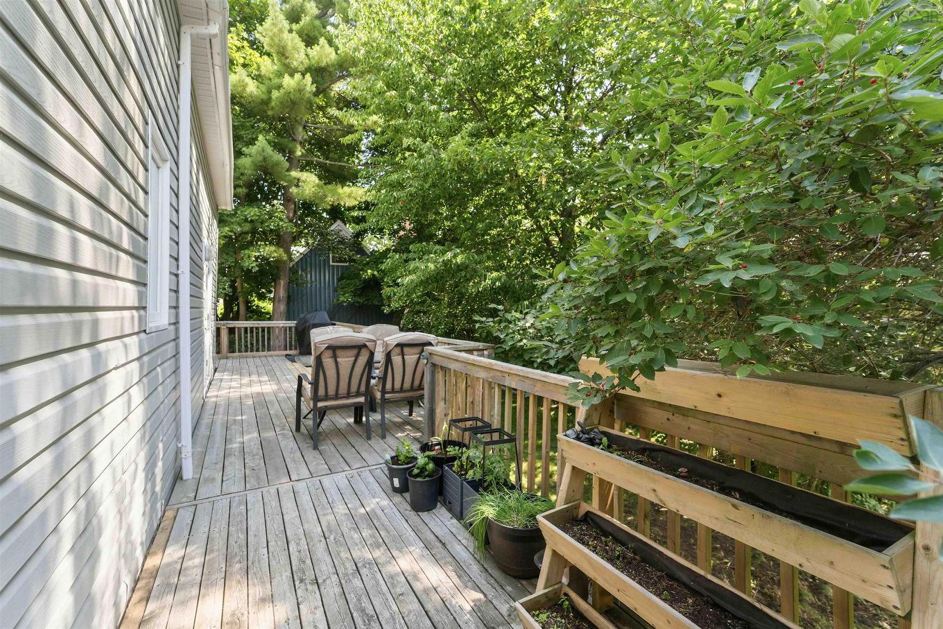 311 Stannus Street, Windsor, NS - Outdoor With Deck Patio Veranda