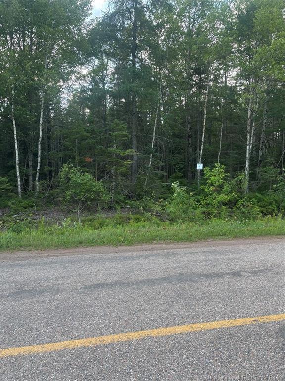 Lot 26-1 Upper Midland Rd, Springfield, NB - Outdoor
