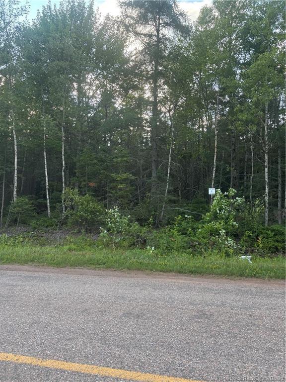 Lot 26-1 Upper Midland Rd, Springfield, NB - Outdoor