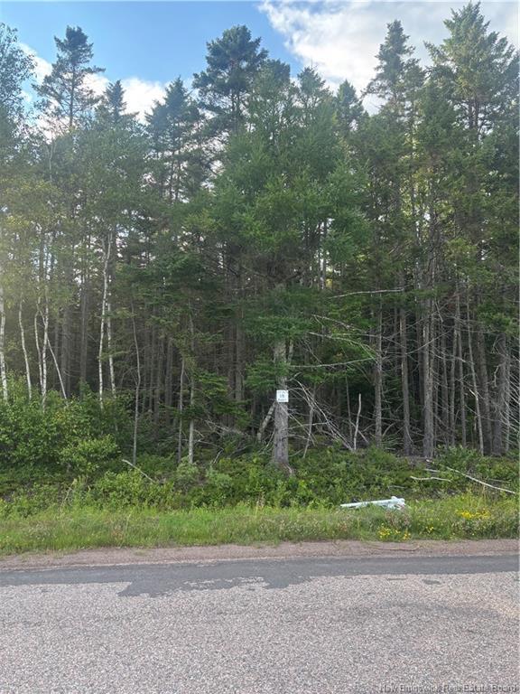 Lot 26-3 Upper Midland Rd, Springfield, NB - Outdoor With View