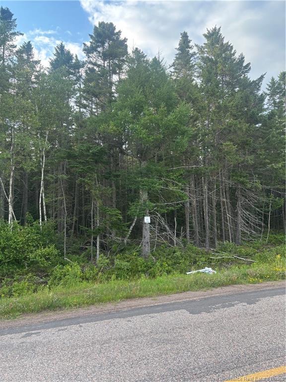 Lot 26-3 Upper Midland Rd, Springfield, NB - Outdoor With View
