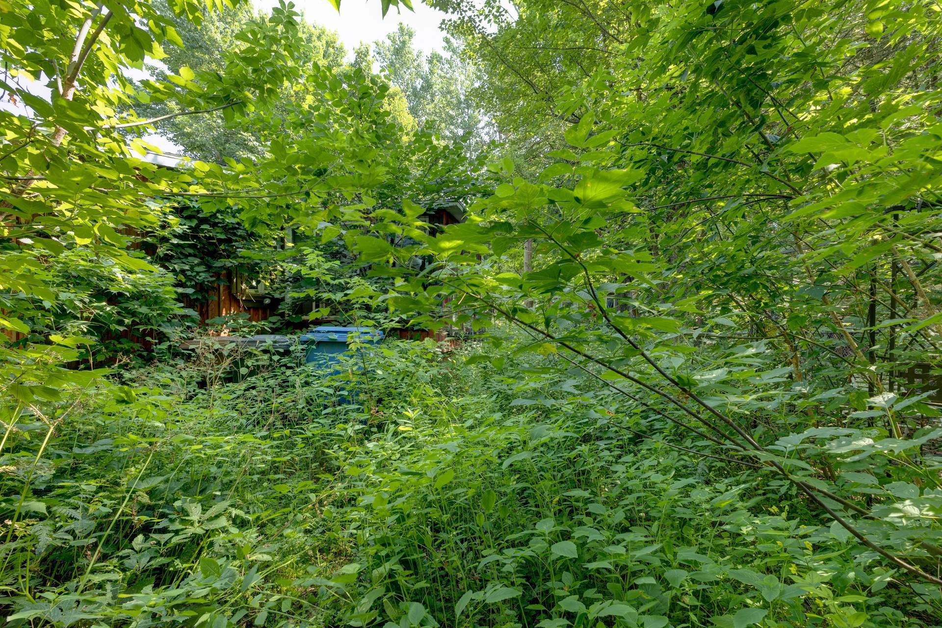 Back of Structure - 386 Rue Champlain, Henryville, QC - Outdoor