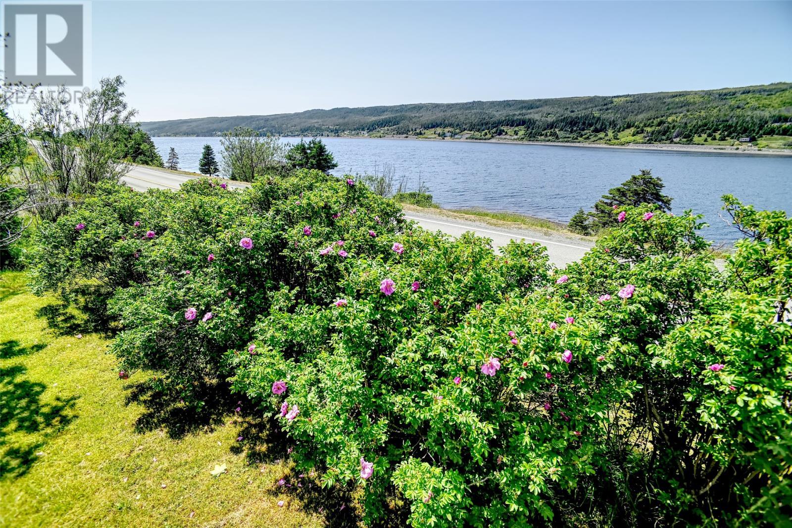 37 Main Road, Riverhead, NL - Outdoor With Body Of Water With View