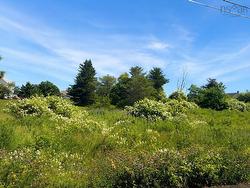 Lot 2026-1 Morrison Street Glace Bay, NS B1A 2G6