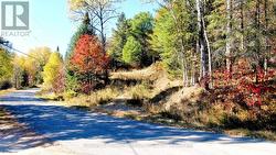 178 GAEBEL ROAD Bancroft (Bancroft Ward), ON K0L 1C0