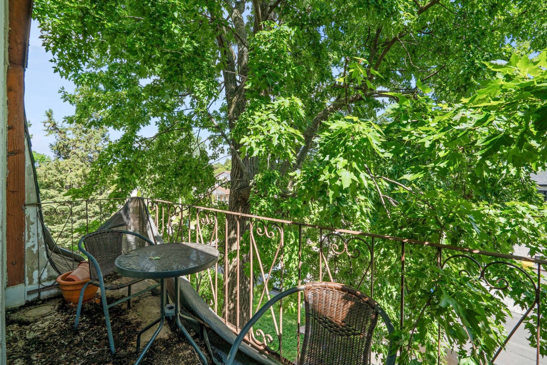 Face arrière - 8-68 6E Avenue, L'Île-Perrot, QC - Outdoor