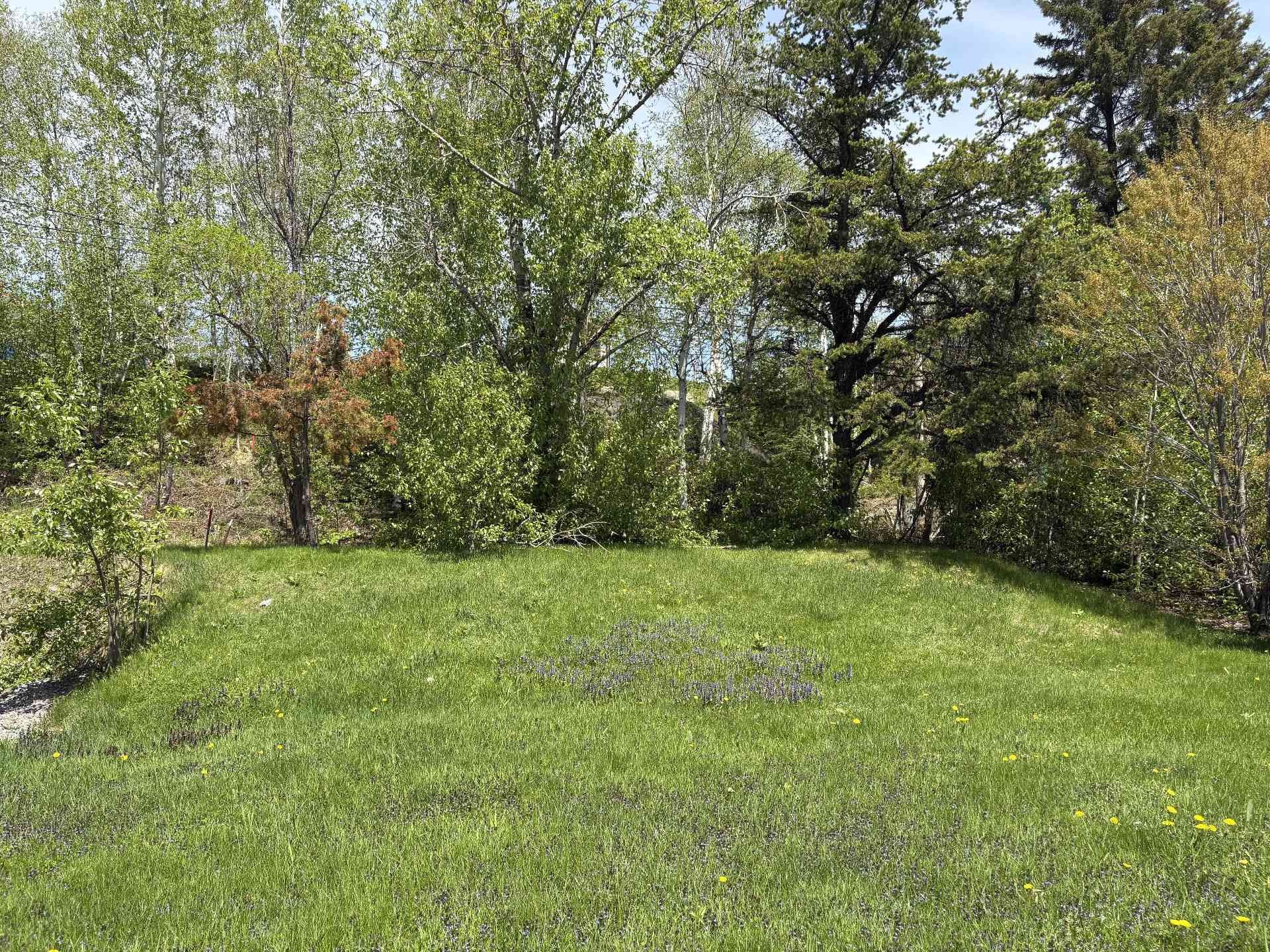 Courtyard - 1017 Rue Martel, Rouyn-Noranda, QC - Outdoor