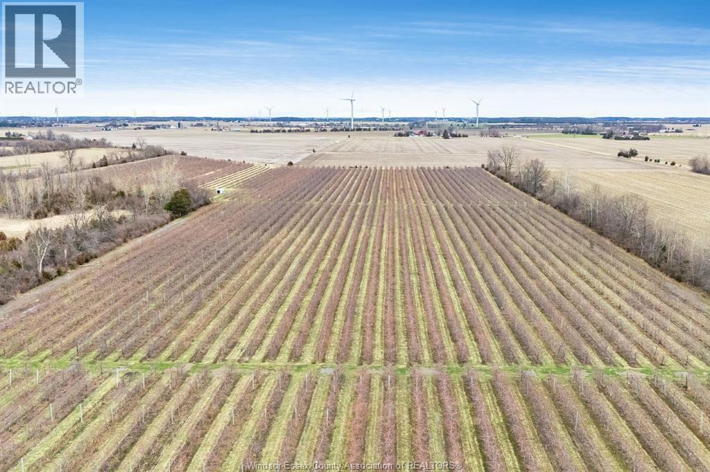 496 County Rd 34, Ruthven, ON - Outdoor With View