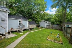 Backyard - 