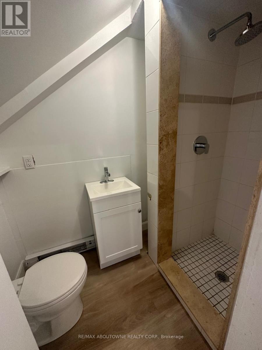 66 Wellington Street S, Hamilton, ON - Indoor Photo Showing Bathroom