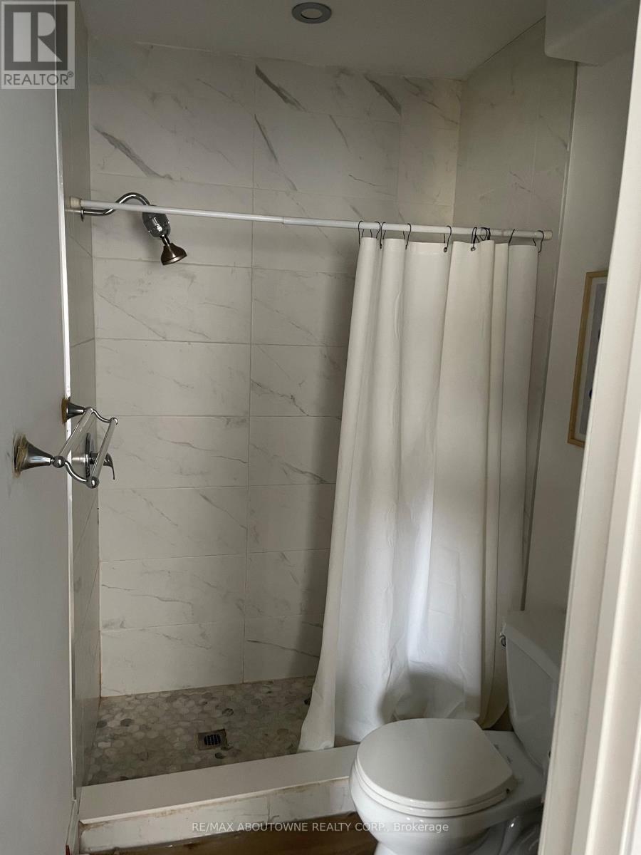 66 Wellington Street S, Hamilton, ON - Indoor Photo Showing Bathroom