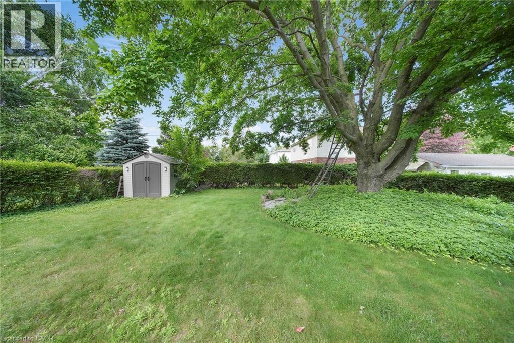 Expansive backyard featuring a mature tree with ground cover, a manicured lawn, and a storage shed with double doors - 1063 Joan Drive, Burlington, ON - Outdoor