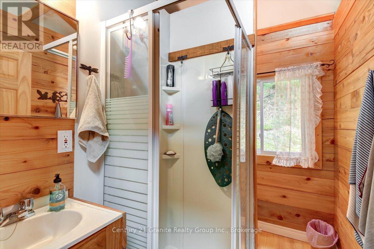 91 Ups & Downs Lane, South Algonquin, ON - Indoor Photo Showing Bathroom