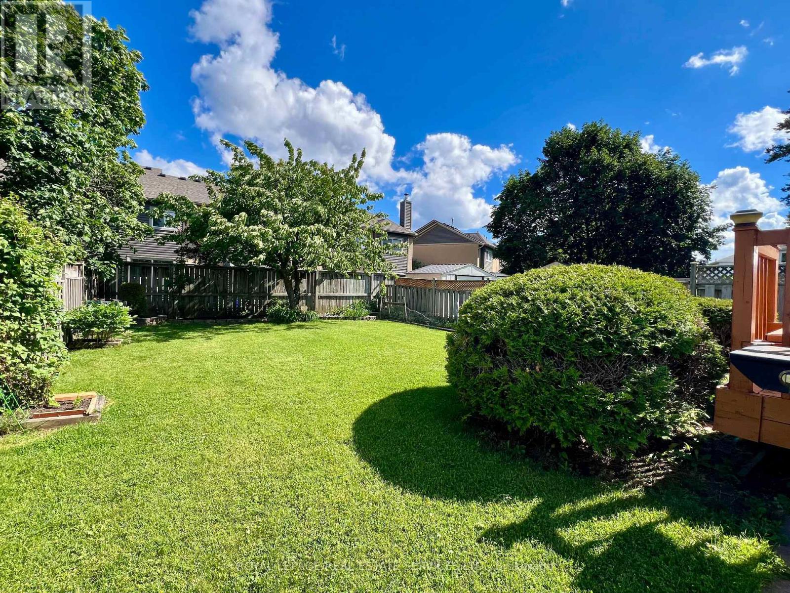 Cherry Tree, Perennial Plans, Green Space - 3364 Ingram Road, Mississauga, ON - Outdoor