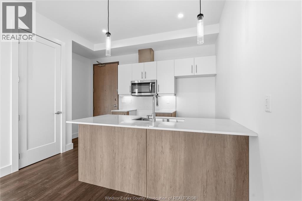 595 Lily Mac Unit# 103, Windsor, ON - Indoor Photo Showing Kitchen