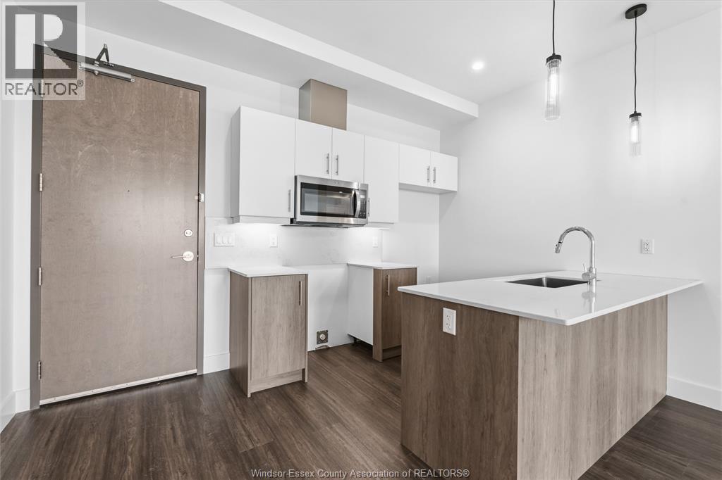 595 Lily Mac Unit# 212, Windsor, ON - Indoor Photo Showing Kitchen With Upgraded Kitchen