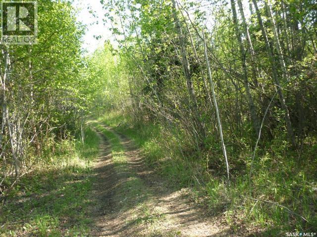5 Smits Avenue, Codette, SK