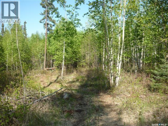 5 Smits Avenue, Codette, SK