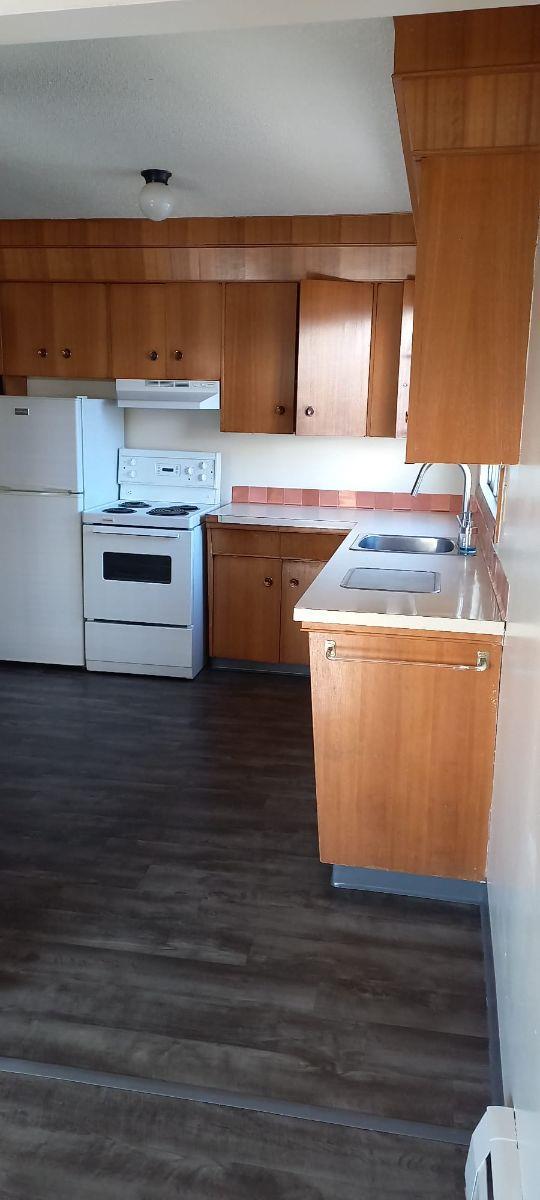 13205 118 Avenue Nw, Edmonton, AB - Indoor Photo Showing Kitchen With Double Sink