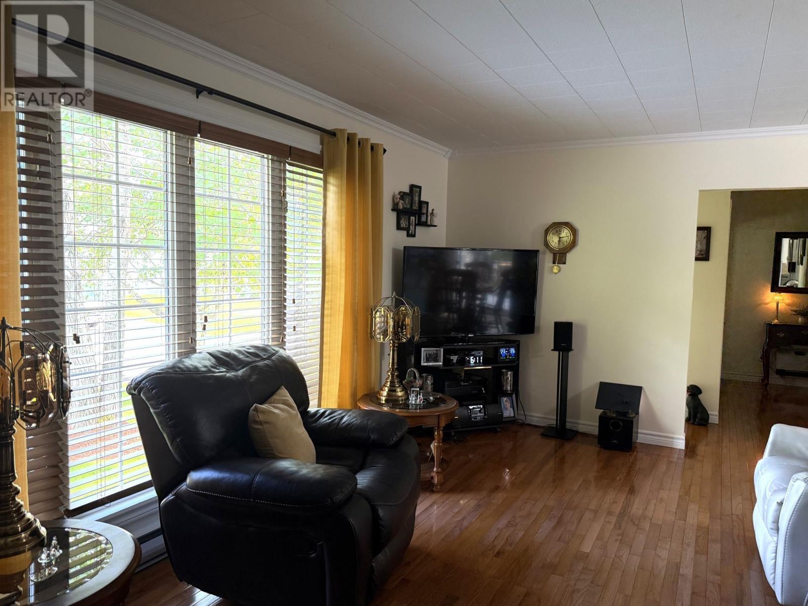 17 Grieve Crescent, Gander, NL - Indoor Photo Showing Living Room
