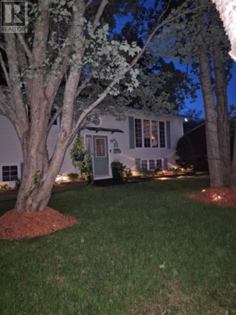 17 Grieve Crescent, Gander, NL - Outdoor