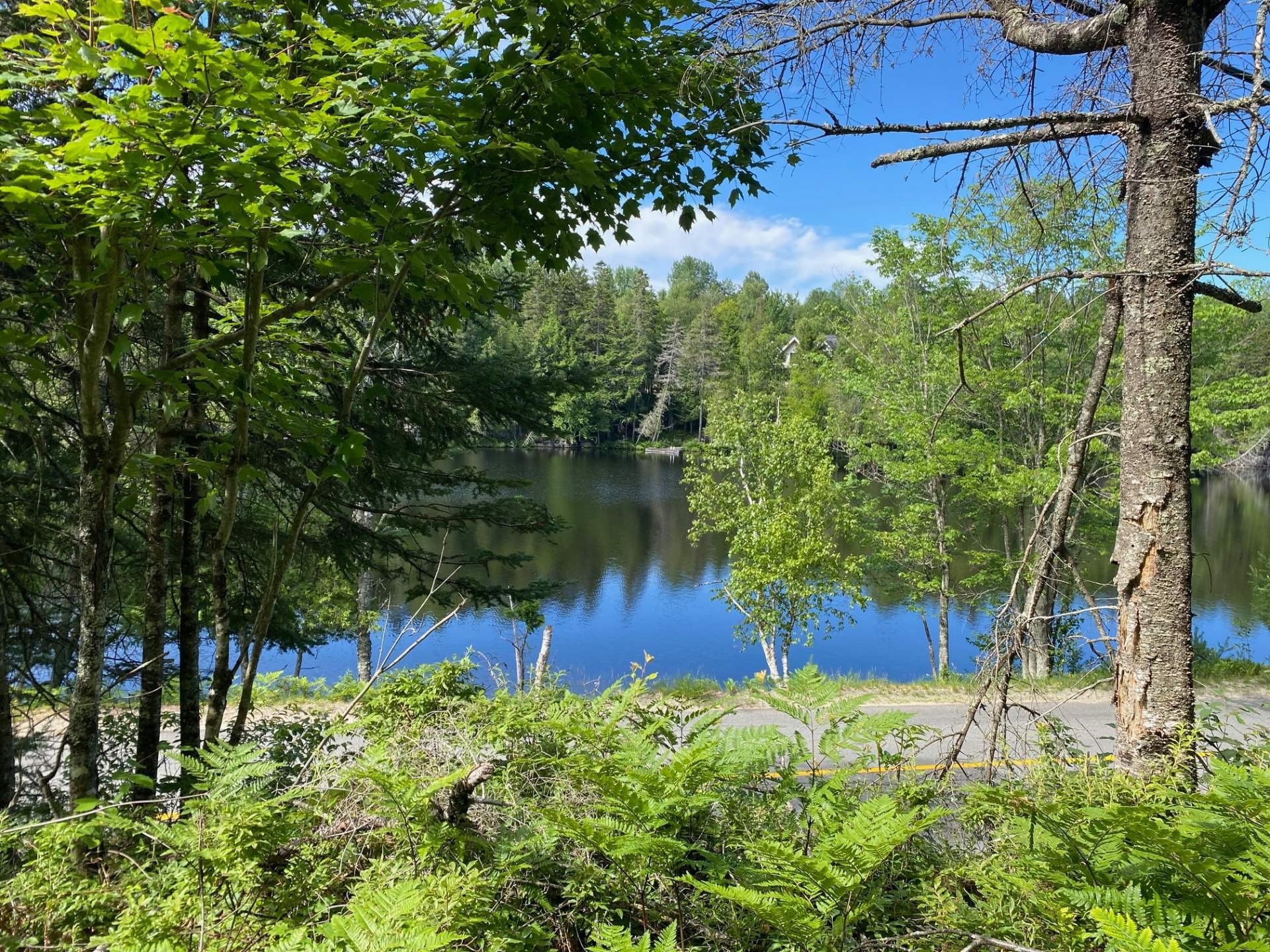 Vue sur l'eau - Ch. St-Bernard, Mont-Tremblant, QC