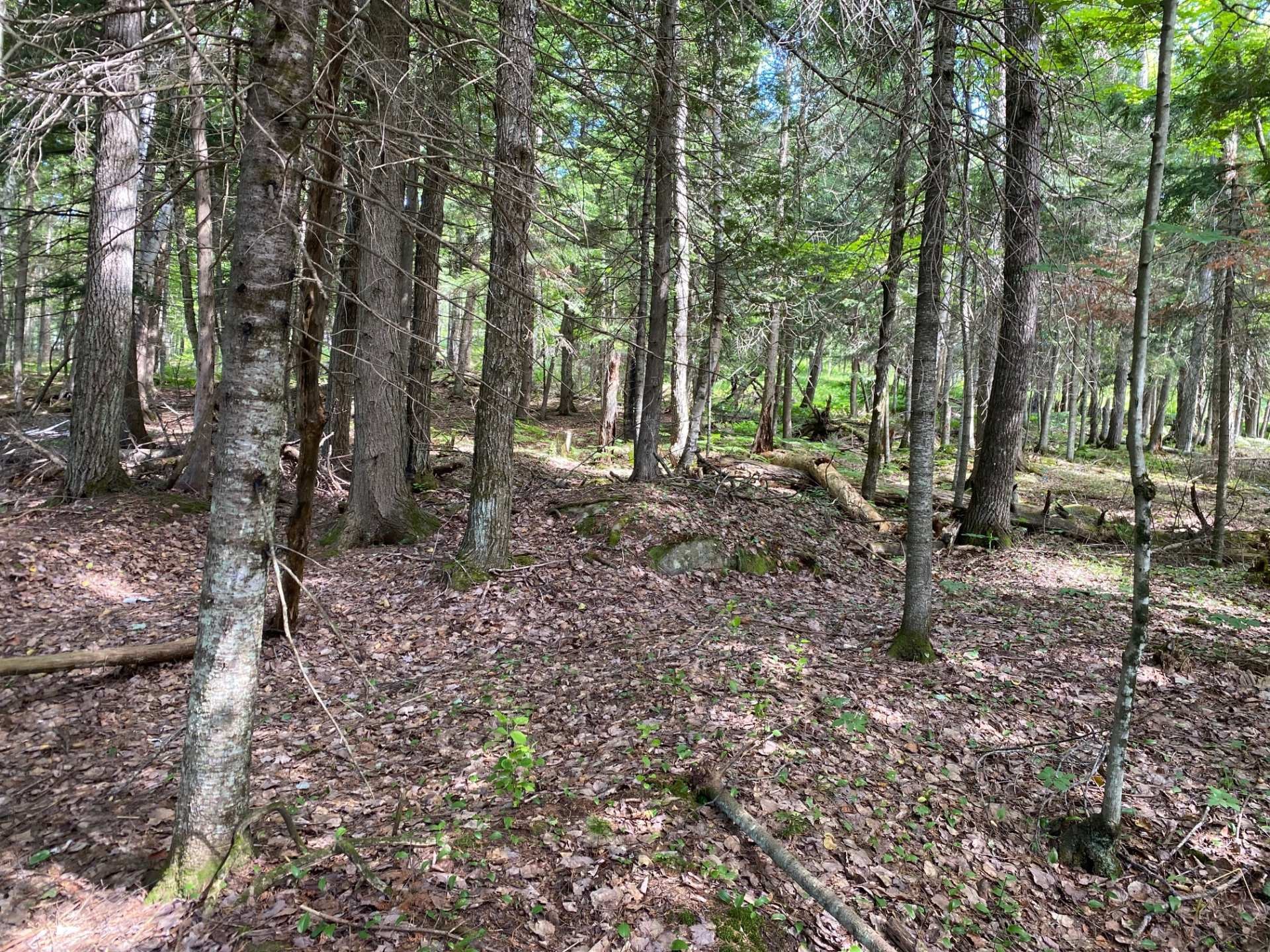 Terre/Terrain - Ch. St-Bernard, Mont-Tremblant, QC