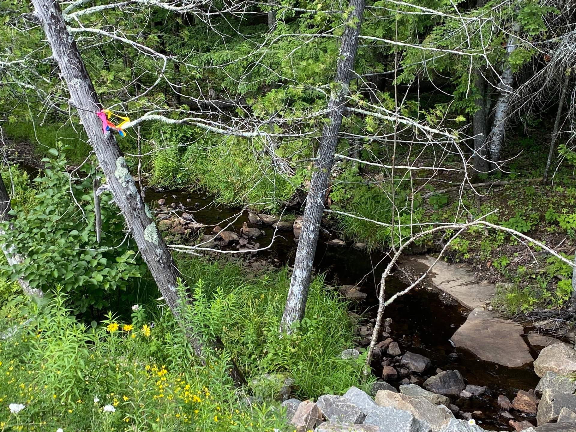 Terre/Terrain - Ch. St-Bernard, Mont-Tremblant, QC