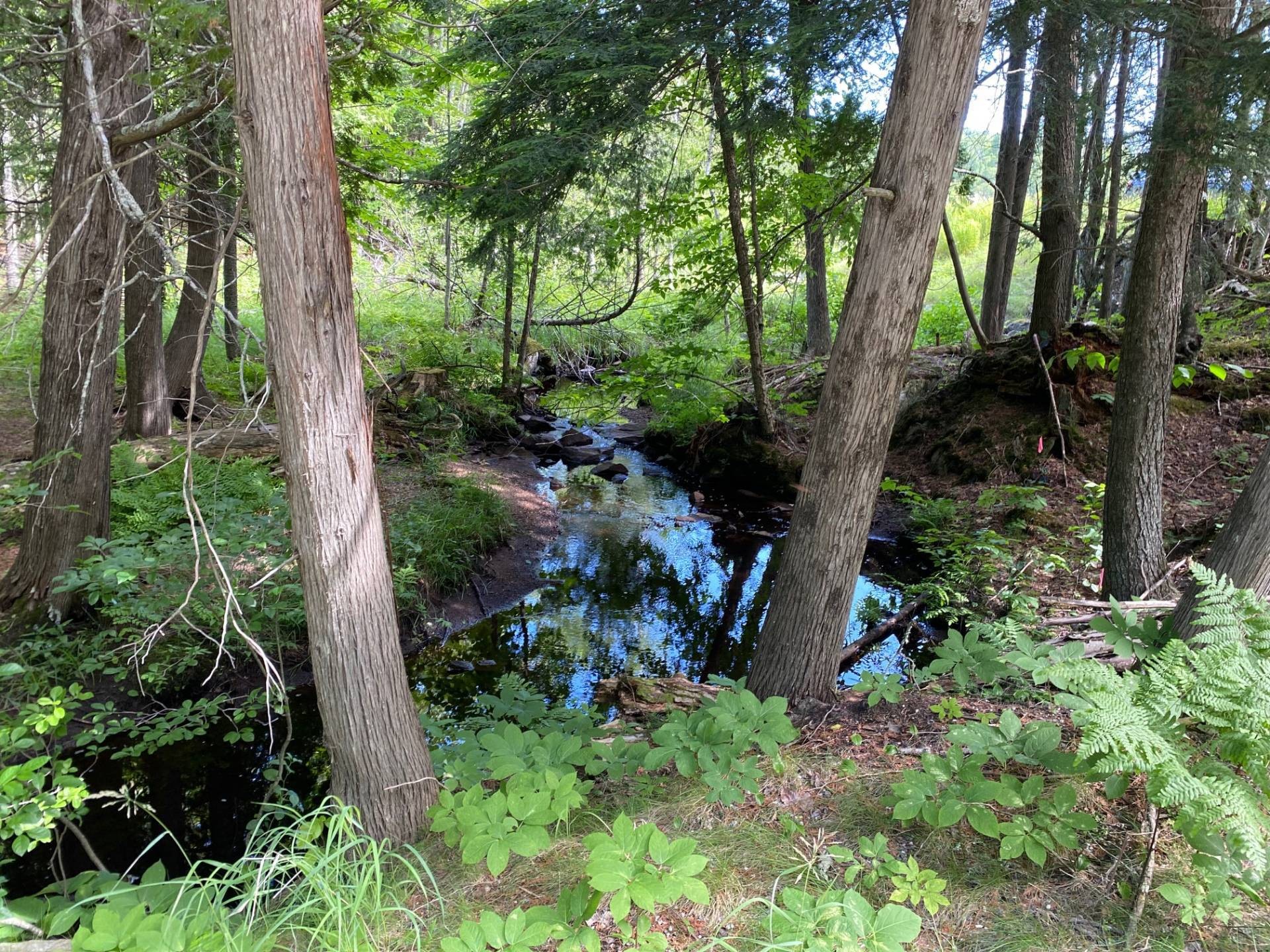 Terre/Terrain - Ch. St-Bernard, Mont-Tremblant, QC