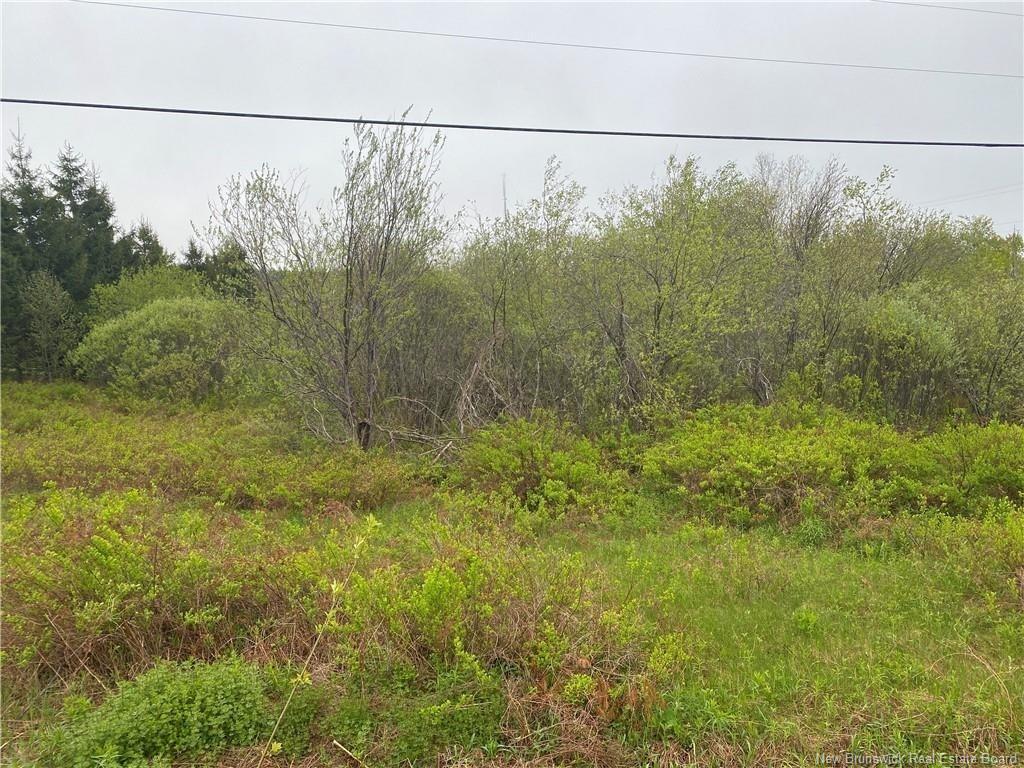 Lot Will Rogers Rd, Moncton, NB - Outdoor With View