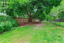 Rear yard with lots of trees! -