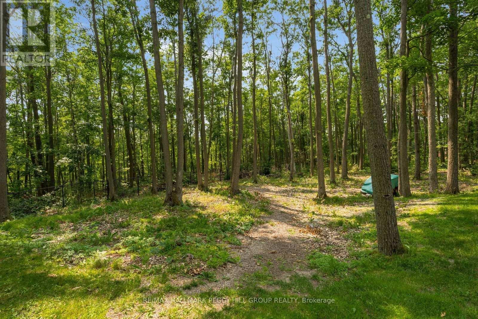 6 Maplehill Drive, Oro-Medonte, ON - Outdoor With View