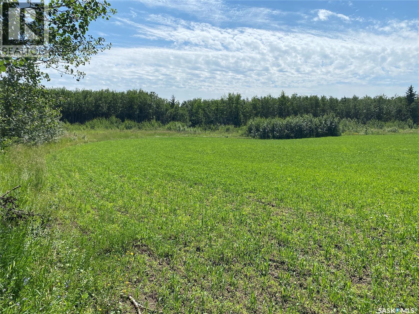 Leask Farm, Leask Rm No. 464, SK