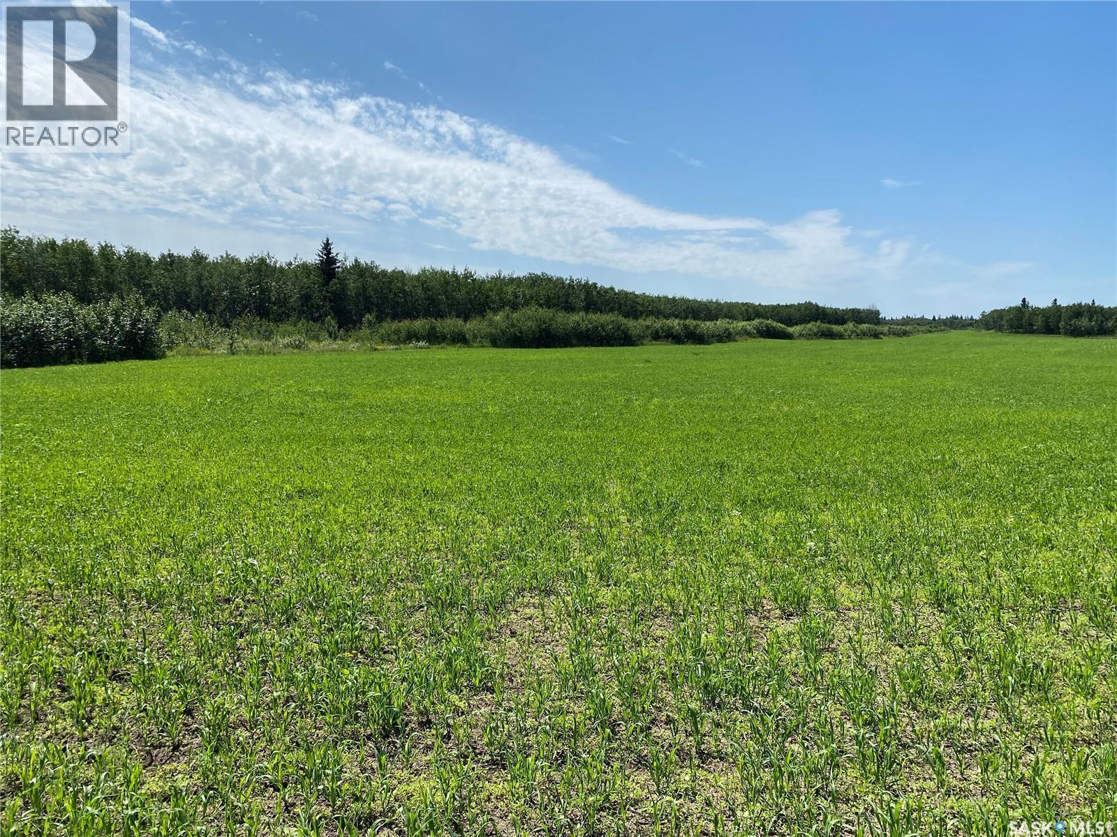 Leask Farm, Leask Rm No. 464, SK