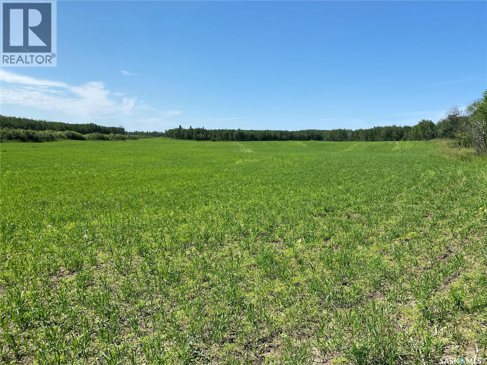Leask Farm, Leask Rm No. 464, SK