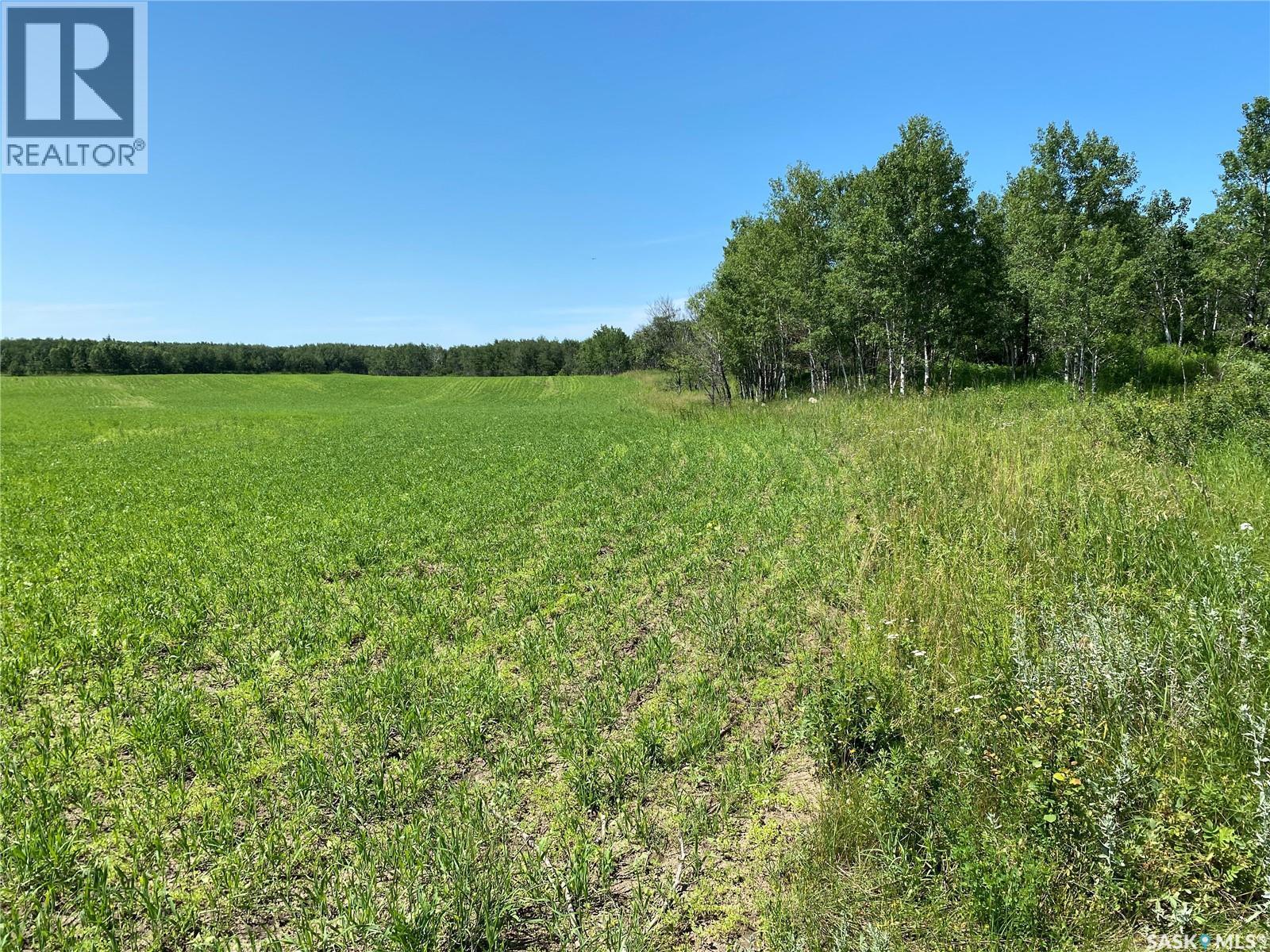 Leask Farm, Leask Rm No. 464, SK