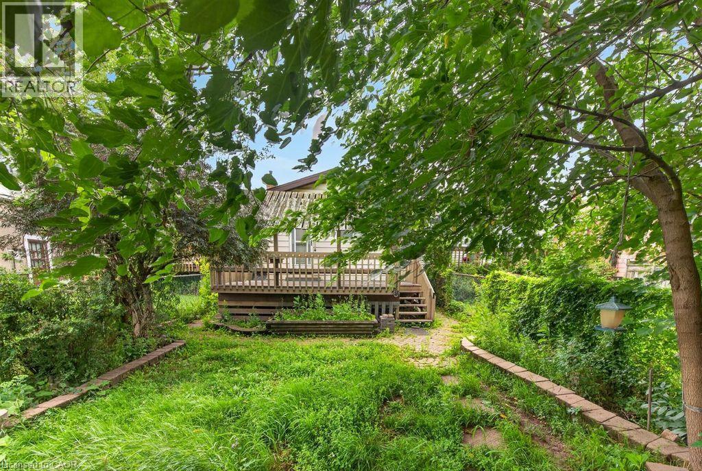 Rear yard featuring a wood deck with railing and stairs, mature trees, and a stone-lined pathway - 23 Harrison Avenue, Hamilton, ON - Outdoor