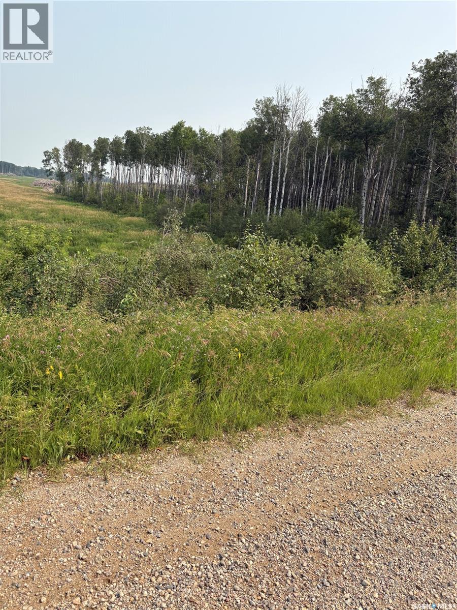 Cawkwell Acreage 2, Kelvington, SK - Outdoor With View