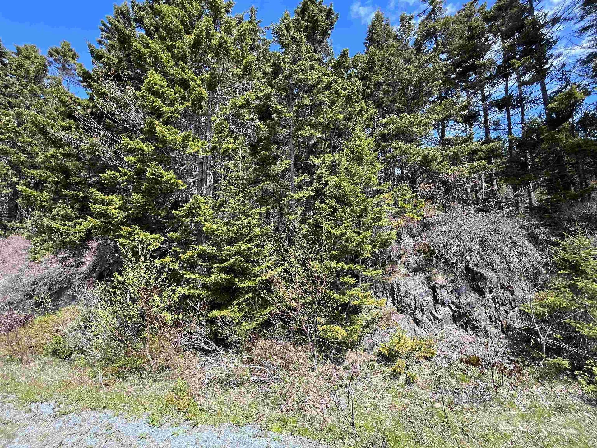 Lot Pid#60466794 Highway 332, Riverport, NS