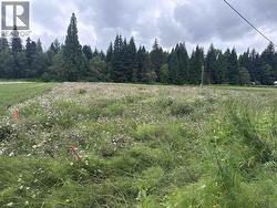 LOT F OLD REMO ROAD Terrace, BC V8G 0E5
