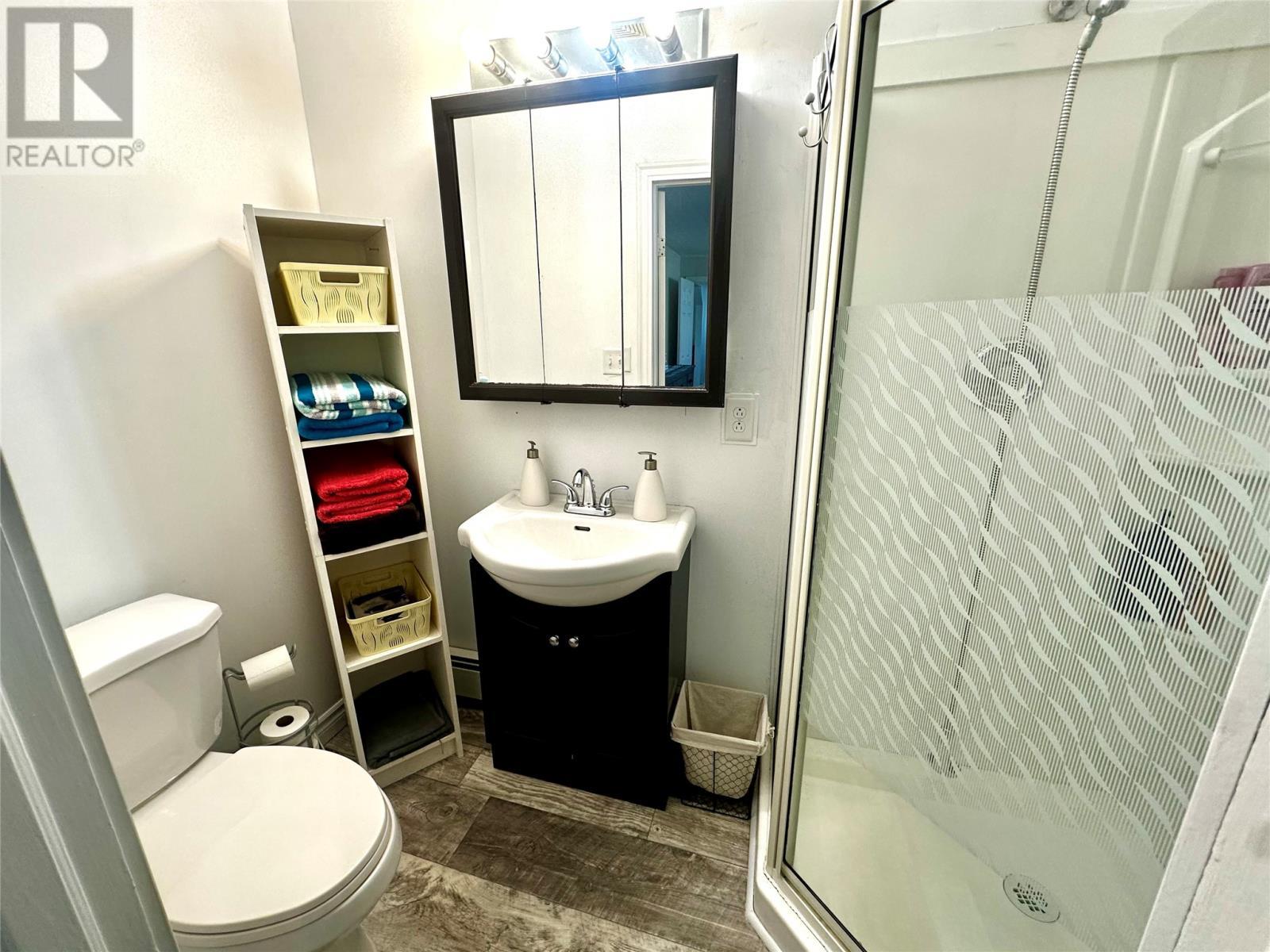 3 Sunset Drive, Badger, NL - Indoor Photo Showing Bathroom