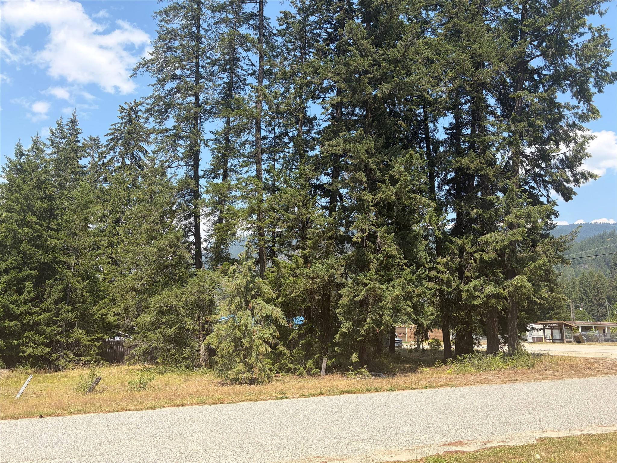 Harold Street, Slocan, BC - Outdoor With View