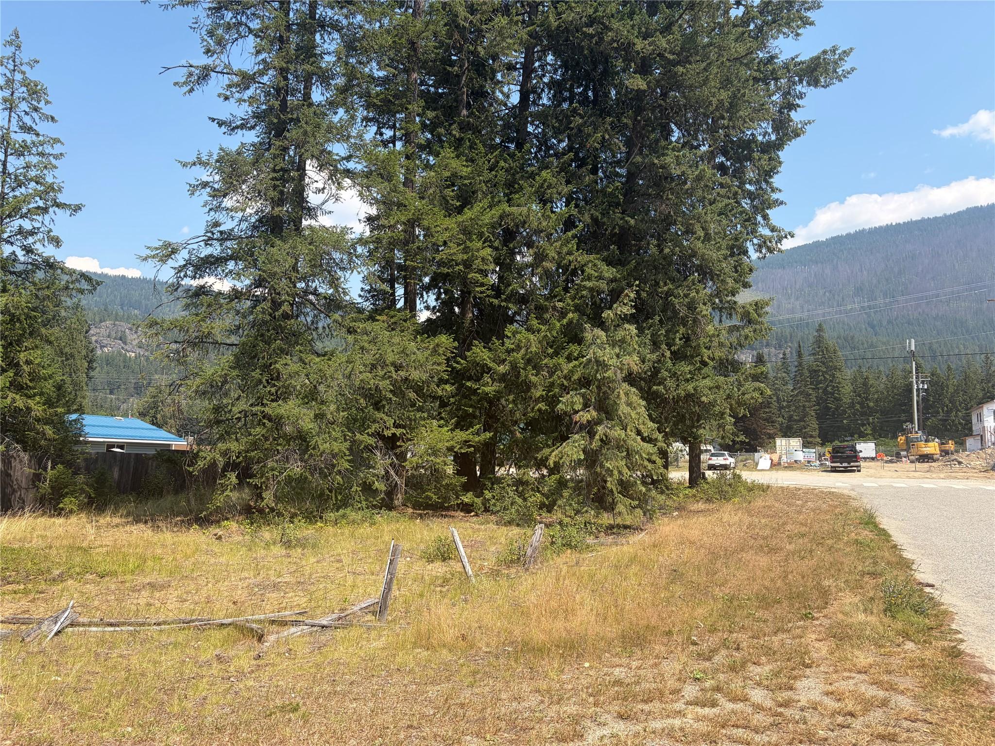 Harold Street, Slocan, BC - Outdoor With View