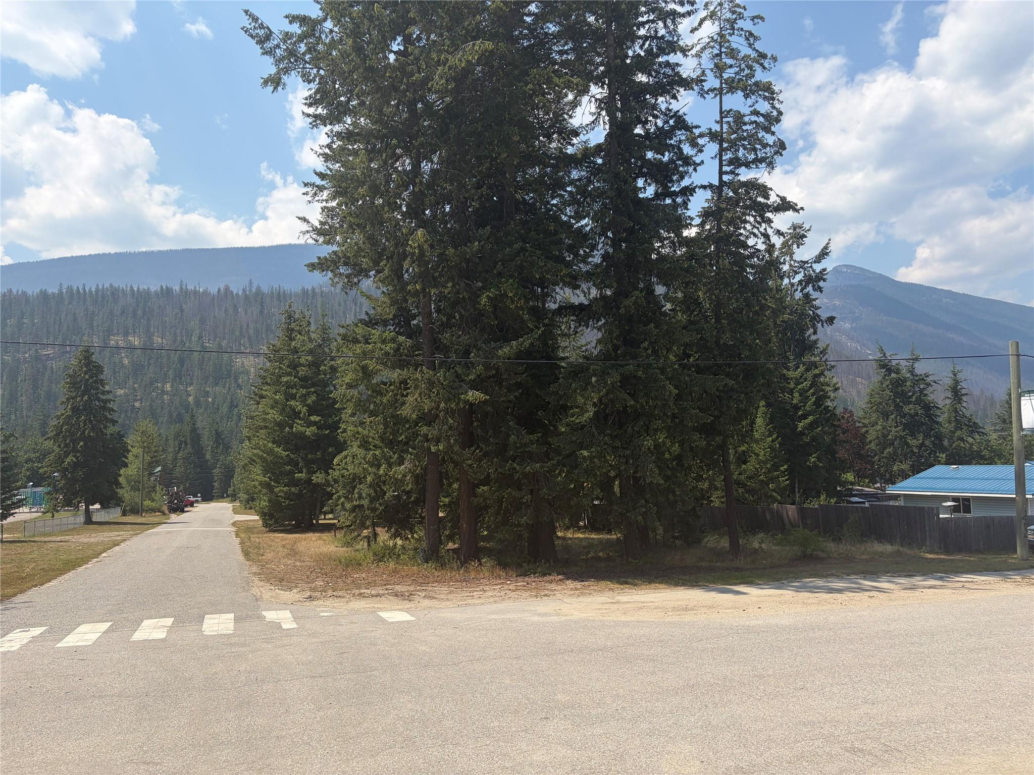 Harold Street, Slocan, BC - Outdoor With View