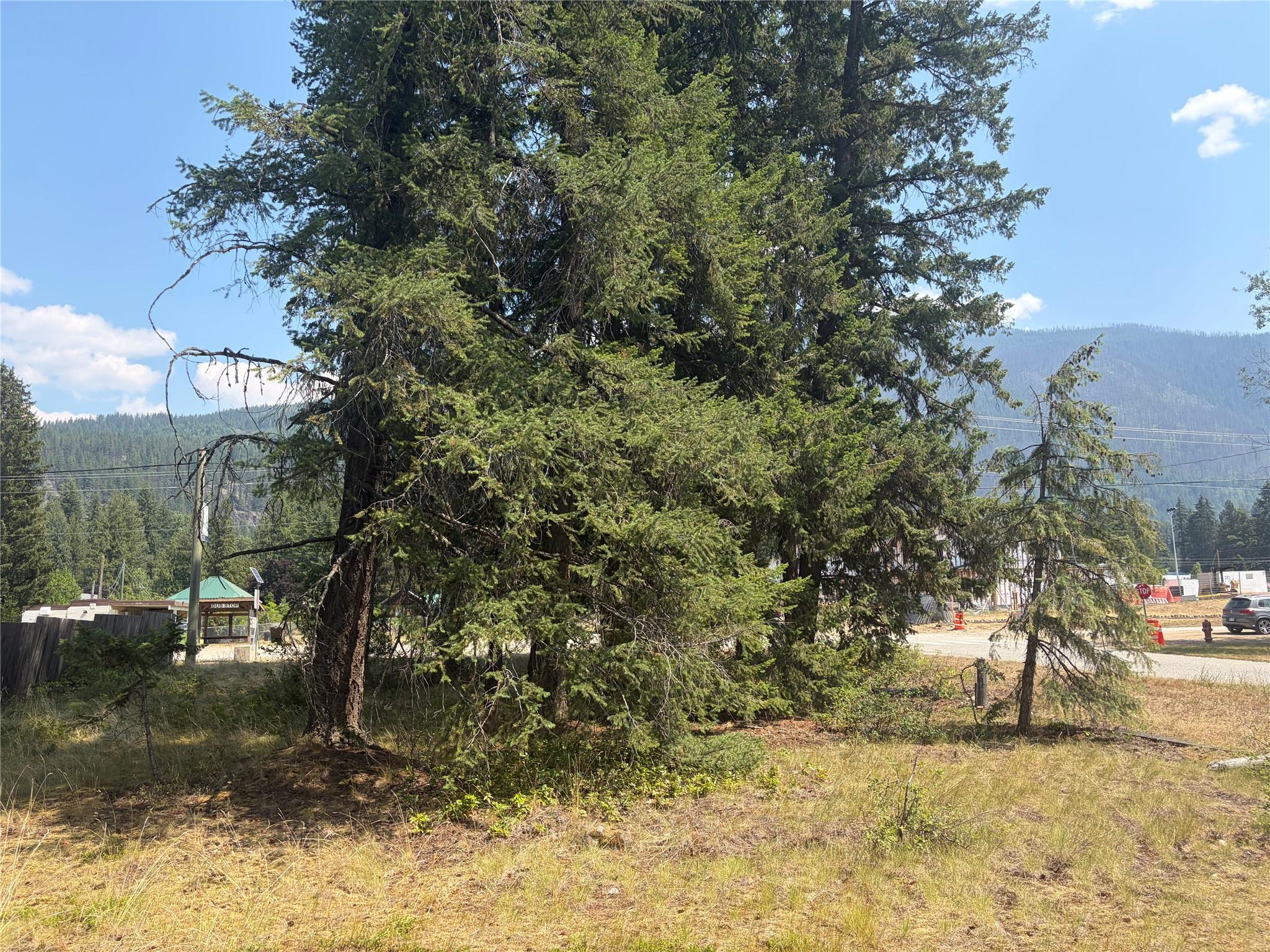 Harold Street, Slocan, BC - Outdoor With View