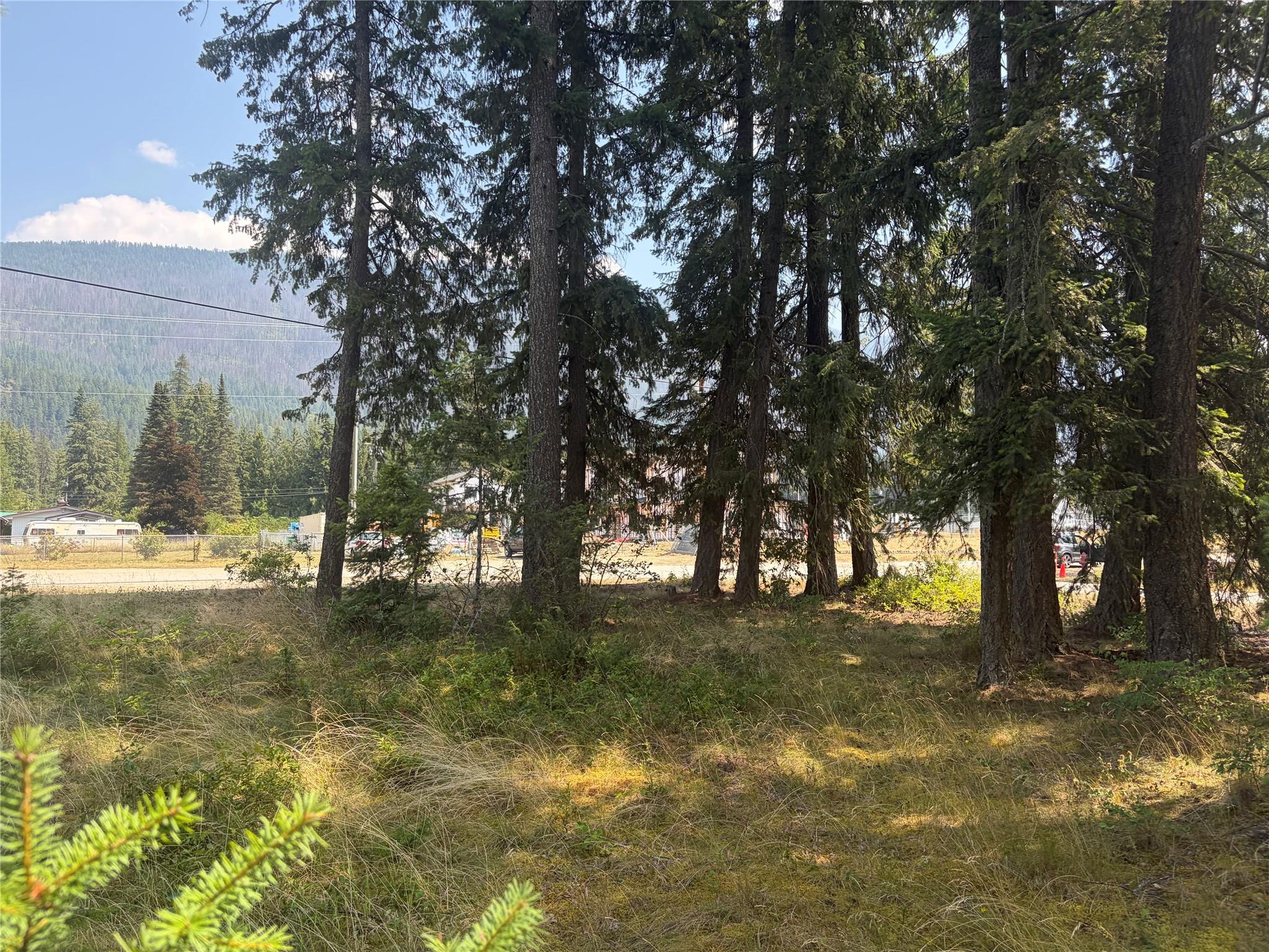 Harold Street, Slocan, BC - Outdoor With View