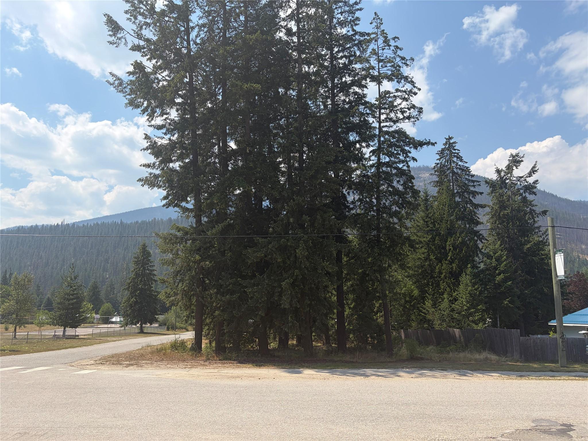 Harold Street, Slocan, BC - Outdoor With View